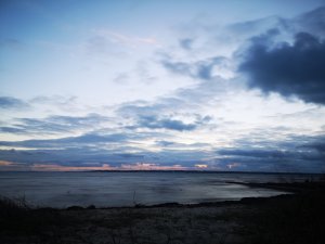 IMG_20181024_174013.jpg