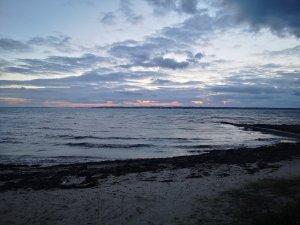 IMG_20181024_174031.jpg