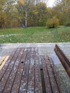 IMG_20181029_093359473.jpg
