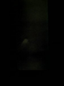 BBA9F77F-2782-4E10-B86A-498D8AB9CD52.jpeg
