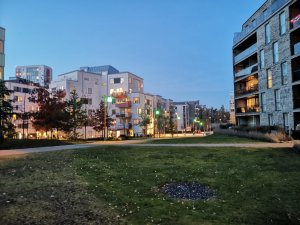 IMG_20181101_163726.jpg