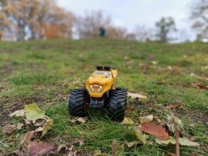 IMG_20181103_092255.jpg