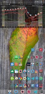 Screenshot_20181105_130558_com.teslacoilsw.launcher.jpg