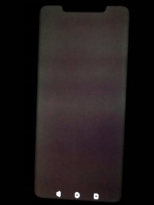 45487678_280691685888699_6281657676359270400_n.jpg
