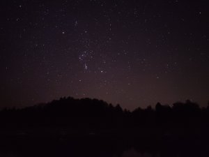 IMG_20181014_030036.jpg