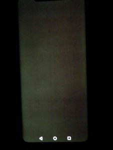 45471175_309697956520741_3888596671776423936_n.jpg