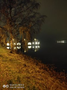 IMG_20181108_050353.jpg
