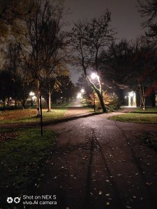 IMG_20181108_051333.jpg
