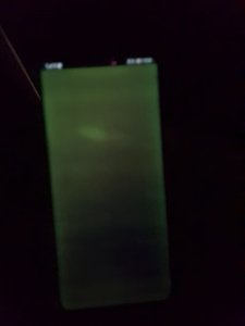 IMG-20181108-WA0005.jpg