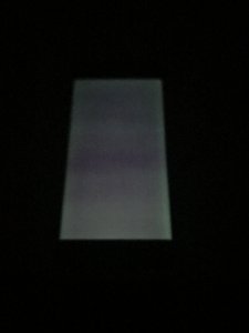 IMG_4271.JPG