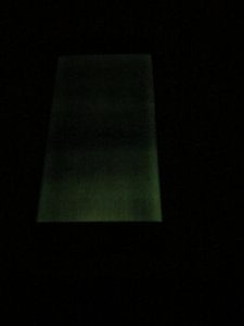 IMG_4273.JPG