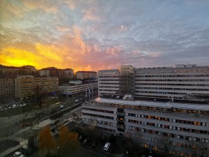 IMG_20181113_151133.jpg
