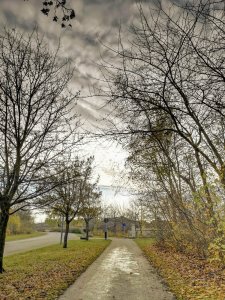 IMG_20181115_121455.jpg