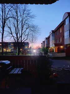 IMG_20181116_163001.jpg