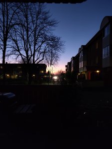 IMG_20181116_162950.jpg
