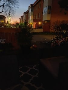 IMG_20181116_163528.jpg