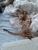 20130509_162823.jpg