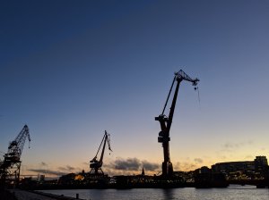 IMG_20181120_073057.jpg
