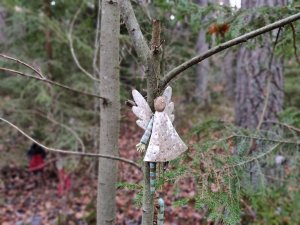 IMG_20181122_111525_Bokeh.jpg