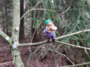 IMG_20181122_111630_Bokeh.jpg