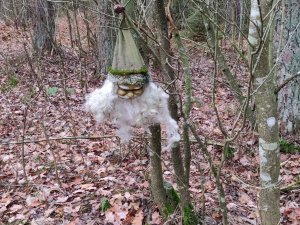 IMG_20181122_110428.jpg