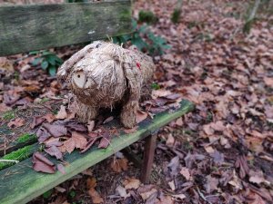 IMG_20181122_111943_Bokeh.jpg