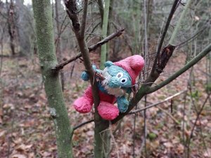 IMG_20181122_111853_Bokeh.jpg