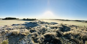 IMG_5025.jpg