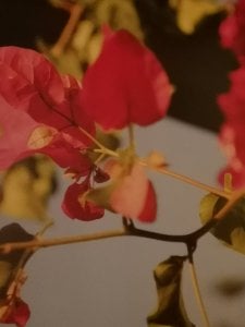 IMG_20181129_212732.jpg