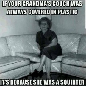 if-your-grandmas-couch-was-always-covered-in-plastic-itsbecause-8813652.jpeg