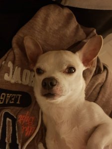 20181130_215030.jpeg