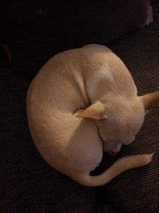 20181202_150654.jpeg