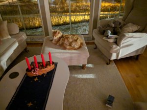 IMG_20181128_222540.jpg
