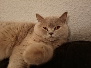 IMG_20181202_220904.jpg