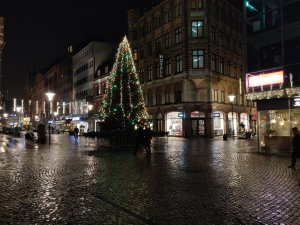 IMG_20181202_003832.jpg