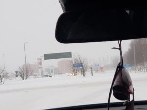 20181204_112133.jpg