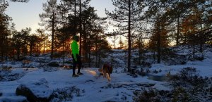 2018-12-05-15-05-47.jpg