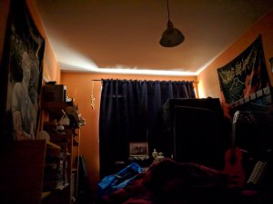 IMG_20181206_095253.jpg