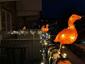 IMG_20181209_164048.jpeg