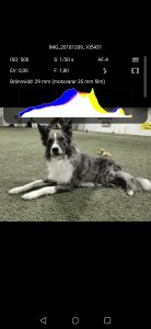 Screenshot_20181209_213146_com.android.gallery3d.jpg