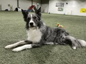 IMG_20181209_105431.jpg