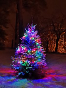IMG_20181216_211320.jpg
