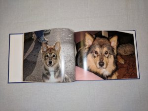 IMG_20181217_160035.jpg