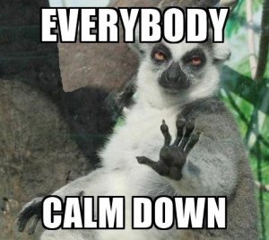 evrybody-calm-down-meme.jpeg