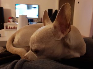 20181218_190711.jpeg