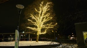 DSC_0002.JPG