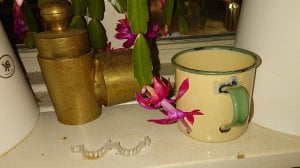 _20181220_050129.JPG
