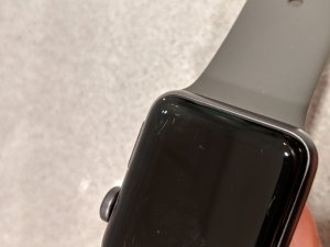 IMG_20181226_151355.jpg