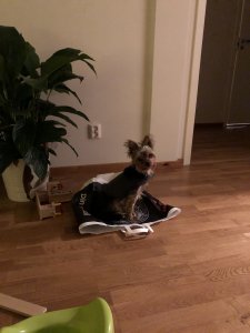 45F10113-7AEE-48E8-BCA6-95F500C27664.jpeg