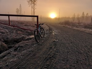 IMG_20181228_095628.jpg